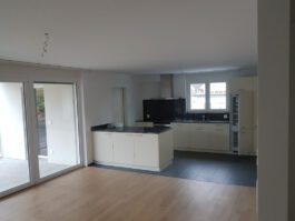 Wohnung Diessenhofen